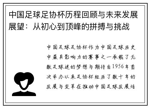 中国足球足协杯历程回顾与未来发展展望：从初心到顶峰的拼搏与挑战