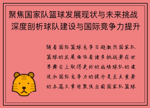聚焦国家队篮球发展现状与未来挑战 深度剖析球队建设与国际竞争力提升