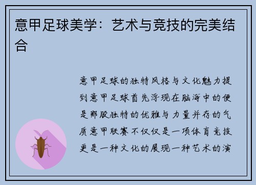 意甲足球美学：艺术与竞技的完美结合